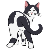 Looking back cat drawing of a black and white cat looking over its shoulder